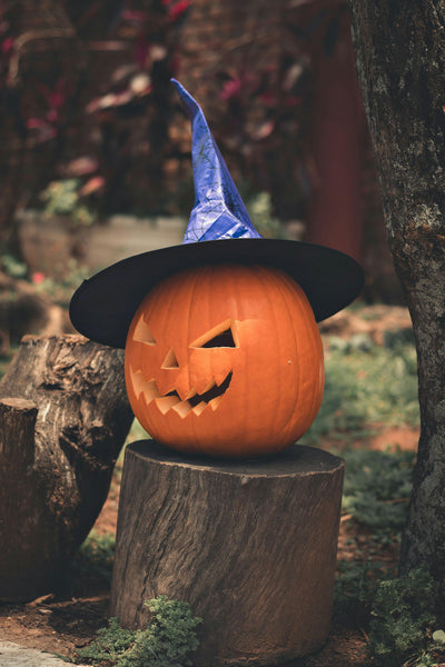 Christmas and Halloween Products